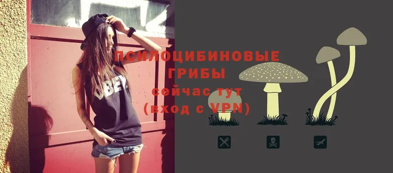 Галлюциногенные грибы MAGIC MUSHROOMS  купить   Кола 